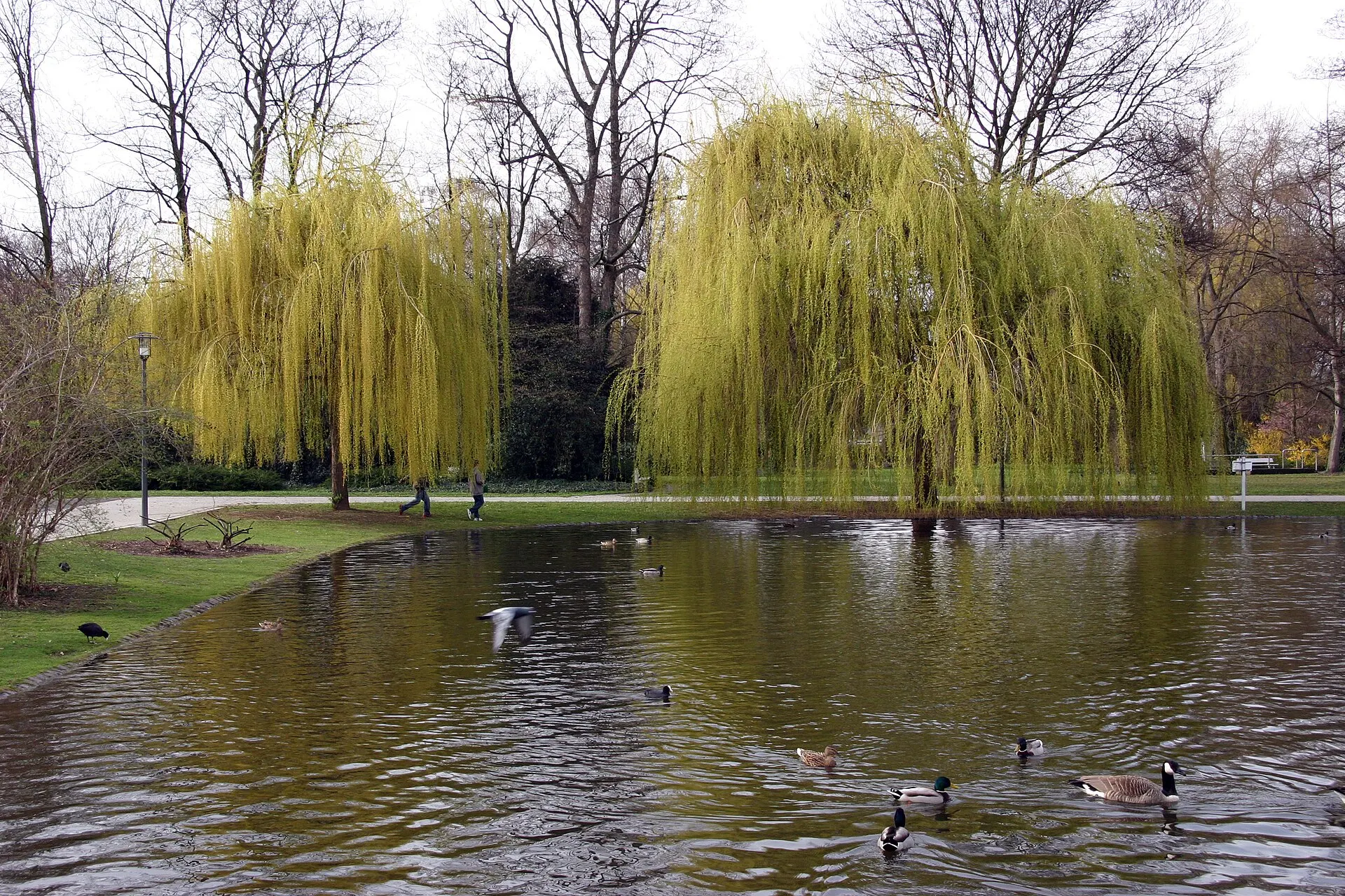 Ebertpark in Ludwigshafen am Rhein