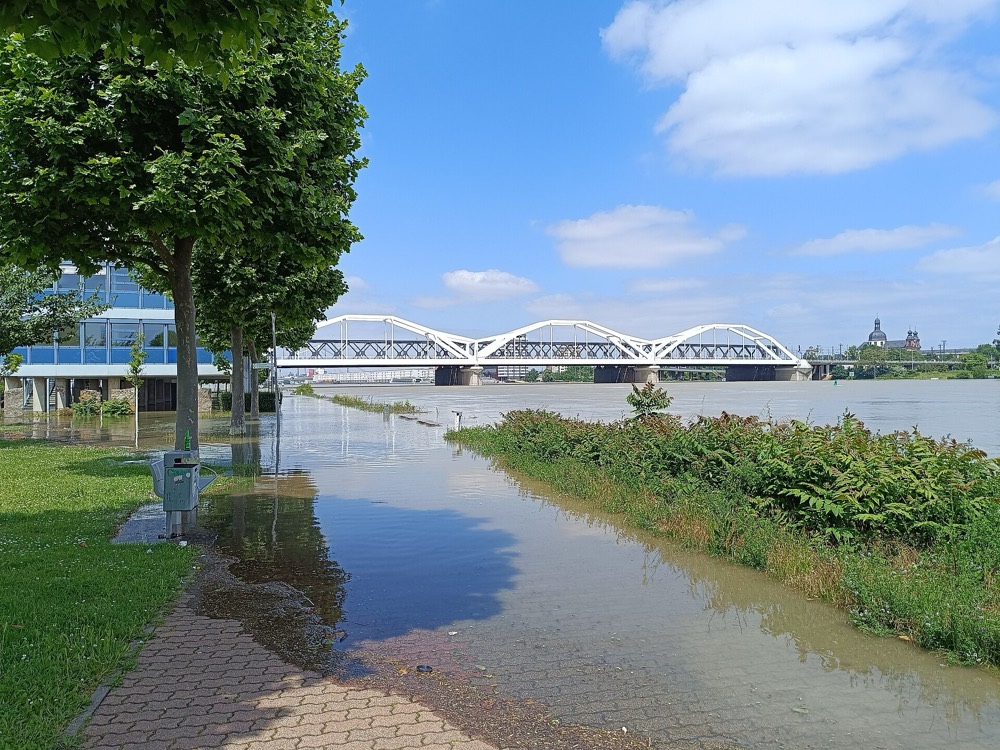 Rhine Panorama Cruise