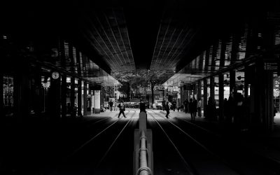 Die Altrheinarme in Ludwigshafen am Rhein